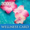 Подарочный сертификат WELLNESS CARD