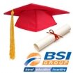 BSI Group (обучение за рубежом)